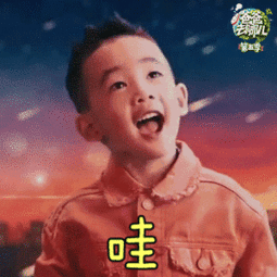 爸爸去哪儿表情包日常聊天必备