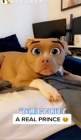 snapchat迪士尼滤镜在哪叫什么snapchat迪士尼滤镜使用方法