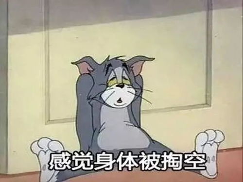 app瘫痪被退票黄牛倒卖北京环球影城开票,消费者闹心