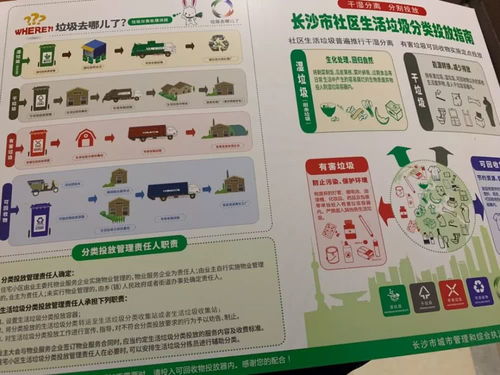 微商下单表情包图片垃圾分类
