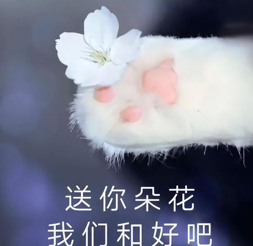 我喜欢你送花表情包鲜花速递