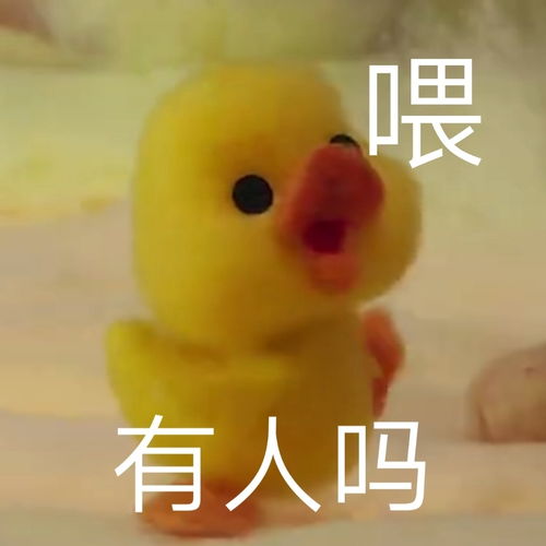 有人认识孙滢皓吗