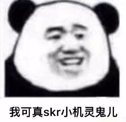 吴亦凡带火的skr是个什么鬼内附魔性表情包