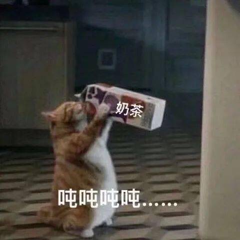 周杰伦胖上了热搜我还能不能好好喝奶茶