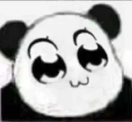 东星耀扬表情包动图陪护