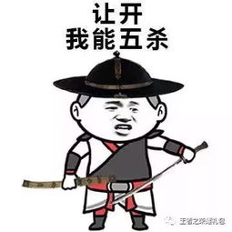 星耀以上玩家最喜欢用的5个英雄,李白露娜竟然都没上榜