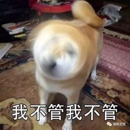 你女朋友不讲道理的样子,简直和它一模一样