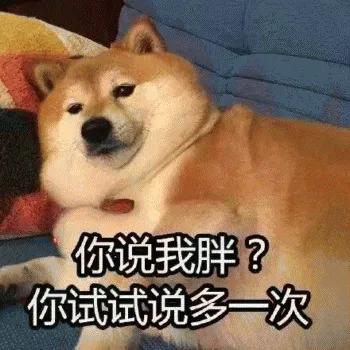科普篇你家的狗子到底胖不胖