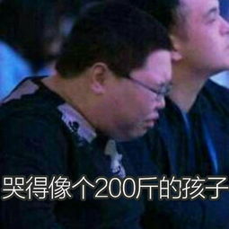 年度四强表情诞生,谁将更进一步