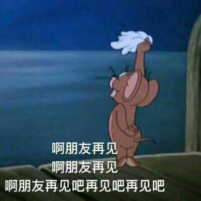 猫的表情包卖萌再见