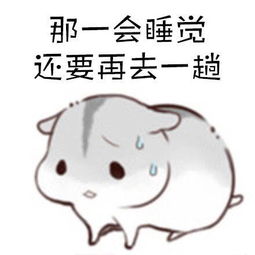 睡前上厕所这种强迫症你有吗