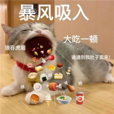 很火的经典微信表情包大全
