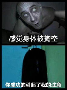 出自哪里我想看
