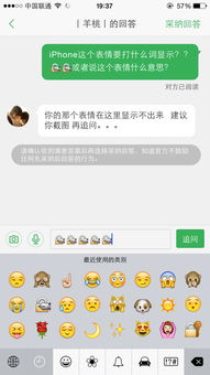 iphone这个表情要打什么词显示..或者说这个表情什么意思