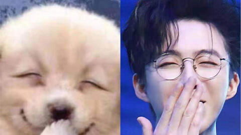 刘宇宁我是丹东草莓的野生代言人,如果不是出来工作我就包个大棚种草莓了