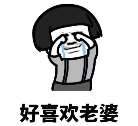 发给老婆的表情包老婆你说什么都是对的