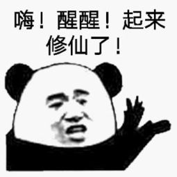 沙雕网友从现在开始,我打一个标点符号,算我输