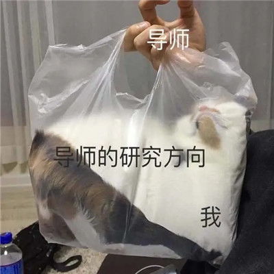 学术混子专用表情包写论文必备的表情
