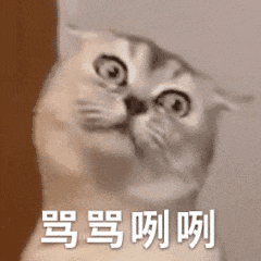 表情包表情动态混子