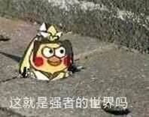 官网次世代国风mmorpg