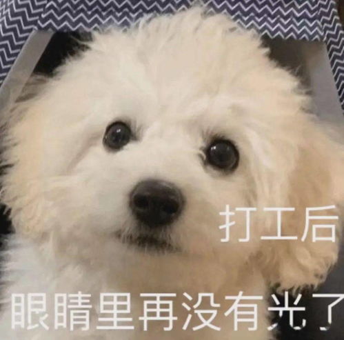 沙雕表情你击中我了妹妹