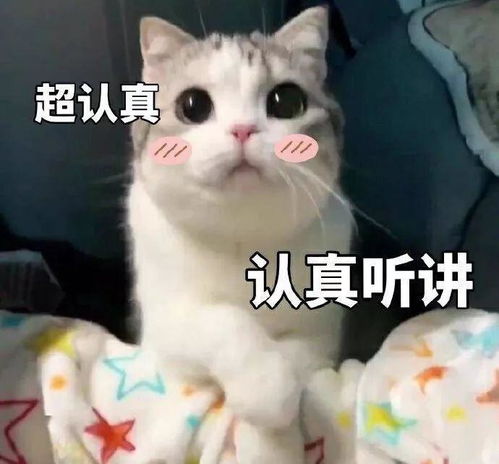 通识教育拓展课补退选这几件事要心中有数