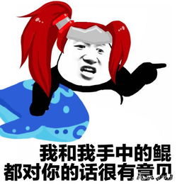 王者荣耀斗图表情包第120期对你的话很有意见