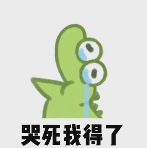 超可爱的抹茶旦旦表情包