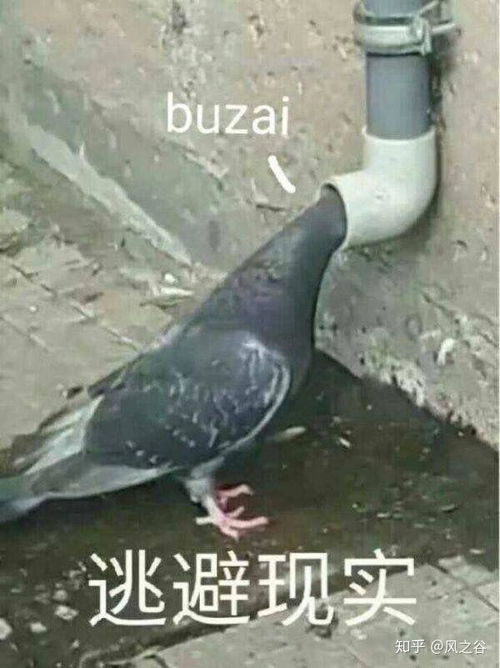 几百乃至上千的电风扇都是什么人在买
