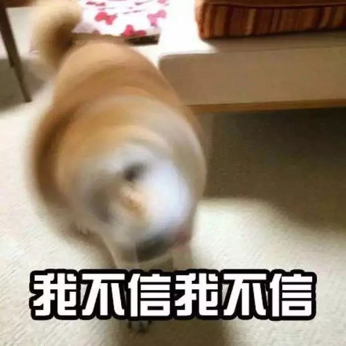 最新双台风冷空气暴风雨轮番暴击黄埔更可怕的是这些坏消息