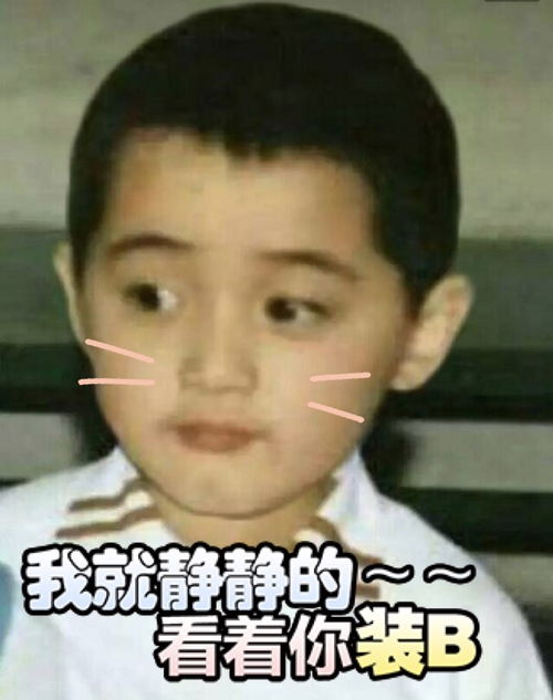 幼年旧照被网友p成表情包,胡歌长这么可爱怪我咯