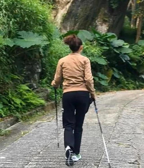 40岁张柏芝颜值暴跌爬山一脸憔悴不敢认,强颜欢笑女神风采不再