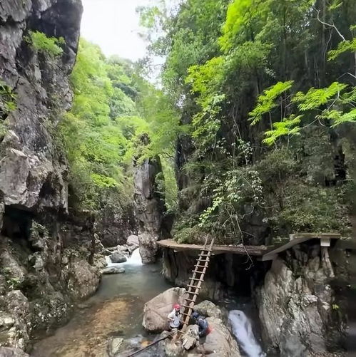 50岁的微信头像风景背景