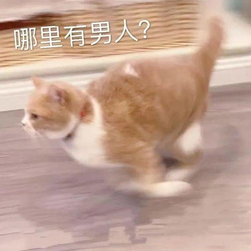 别拍我了