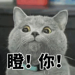 大眼睛里藏了什么秘密