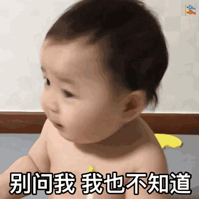 本组什么时候可以发微博id了我也有几个微博id想...
