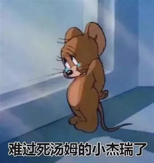 划船表情包不开心