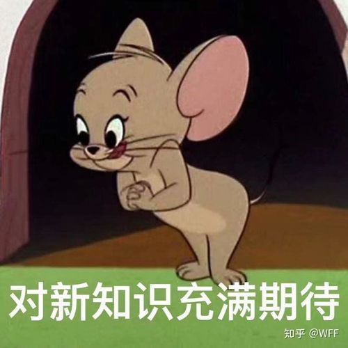 那些发生在下雨天的故事