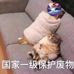 魔法猫咪大招禁锢5个还是输了团战,今年的洲际赛可以慌但没必要