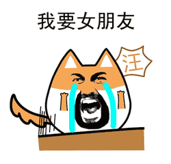 相亲交友只要有缘一切还都来得及隆回网