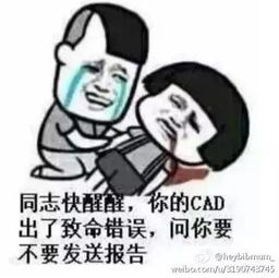 很火的一组图用一个表情包形容你的专业哈哈哈,笑屎我了