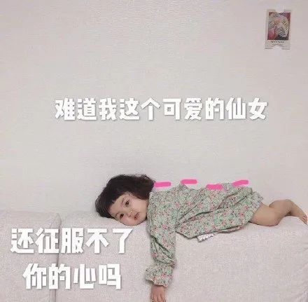 表情包我这小仙女,征服不了你吗