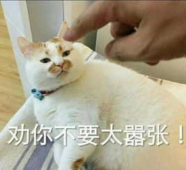 妃常有料此人让网友大呼真香李易峰现场变身追星女孩