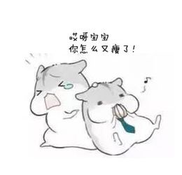 哄女朋友的最佳方式请男盆友们朗诵并背完全文