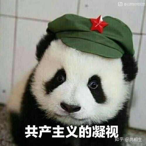 别生气表情包可爱熊猫