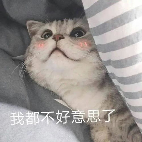 全员玩挑染这种非主流发型怎么又流行了