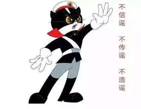 通川警方发布情况通报中年妇女闹市区坠亡