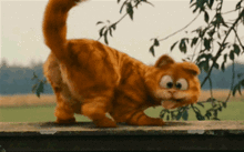 牛了加菲猫加入到宝可梦的阵营