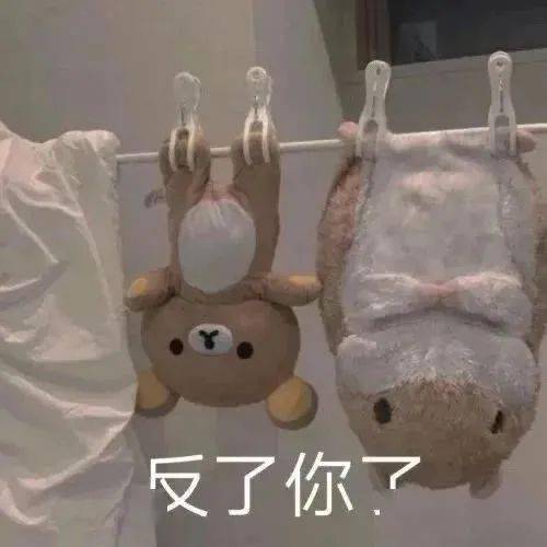 近期热图表情精选