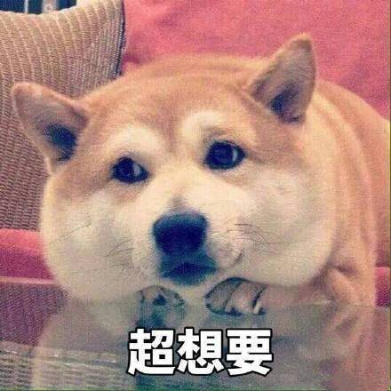 当表情包动起来时